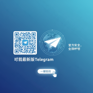 Telegram中文下载最新版：快速获取官方安全版本，一键安装畅享全球聊天